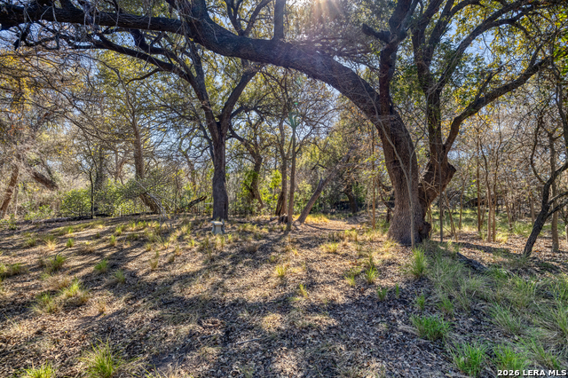 Listing photo id 33 for 1140 Curtis Bourn E