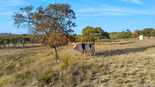 Image 75 of 78 For 521 Bluff Creek Road