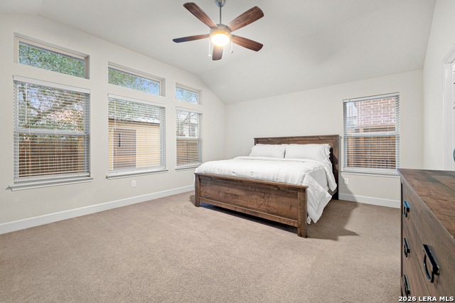 Image 31 of 43 For 217 James Fannin