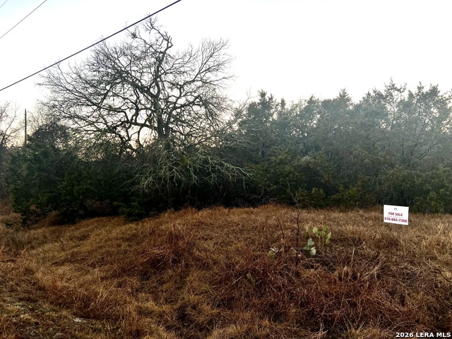 Image 2 of 6 For 451 Stallion Estates N