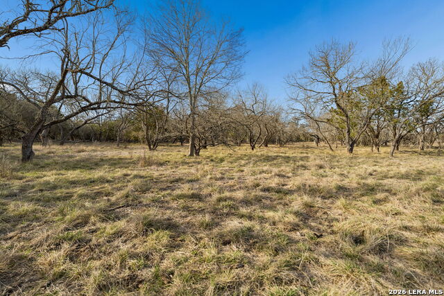 Image 10 of 25 For 1934 Paradise