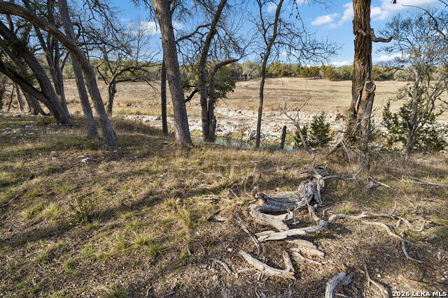 Image 11 of 25 For 1934 Paradise