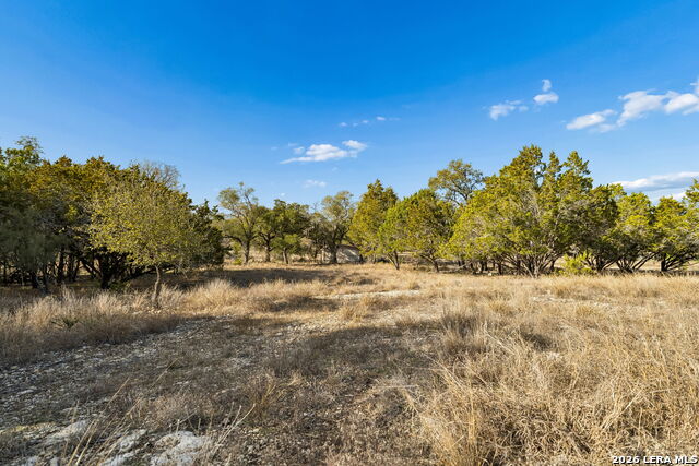 Image 5 of 25 For 1934 Paradise