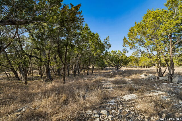 Image 6 of 25 For 1934 Paradise