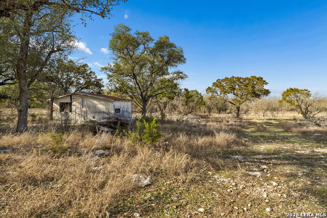 Image 7 of 25 For 1934 Paradise