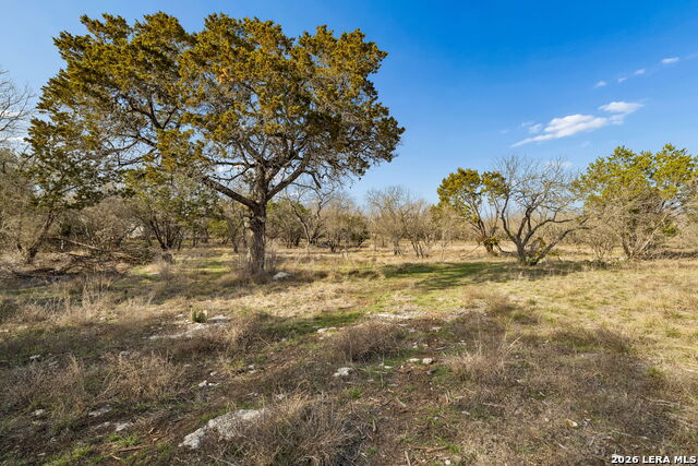 Image 8 of 25 For 1934 Paradise