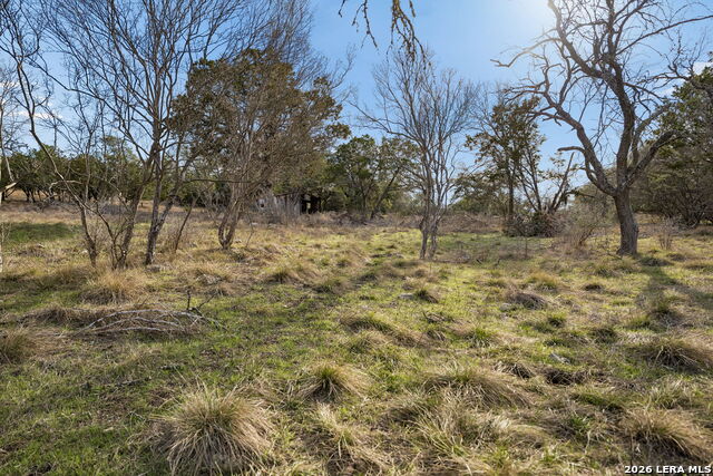 Image 9 of 25 For 1934 Paradise