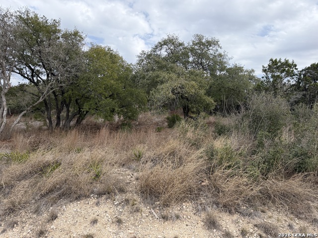 Image 6 of 11 For Lot 45 Pr 2775