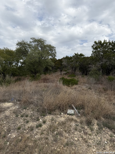 Image 7 of 11 For Lot 45 Pr 2775