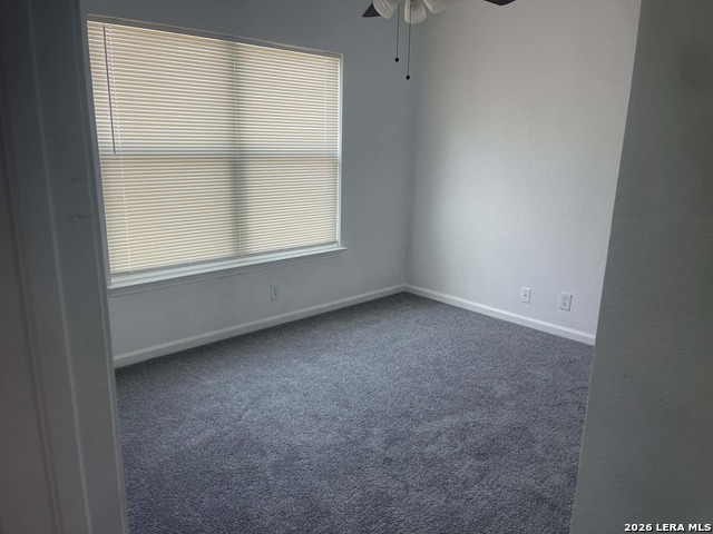 Image 8 of 11 For 22 Badgers  