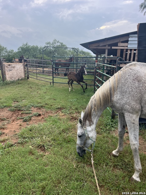 Image 18 of 40 For 3285 Pittman Rd