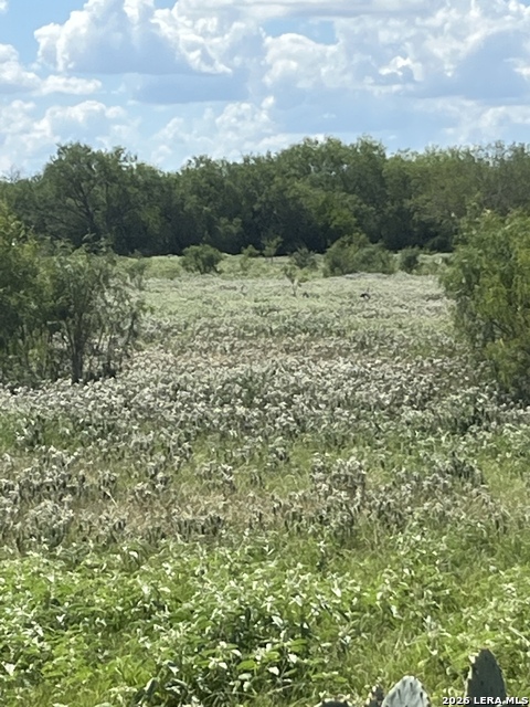 Image 19 of 40 For 3285 Pittman Rd