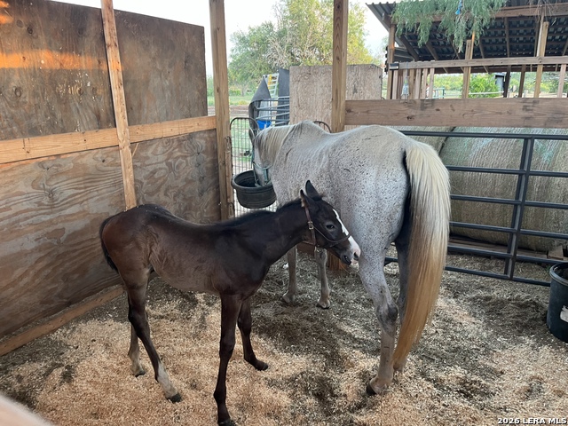 Image 2 of 40 For 3285 Pittman Rd