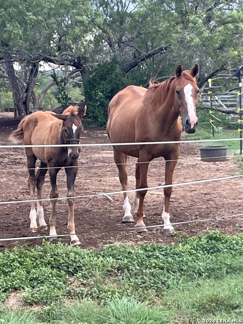 Image 20 of 40 For 3285 Pittman Rd