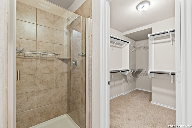 Image 20 of 43 For 6919 Quantum Loop