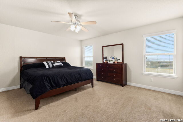 Image 21 of 27 For 721 Great Cloud