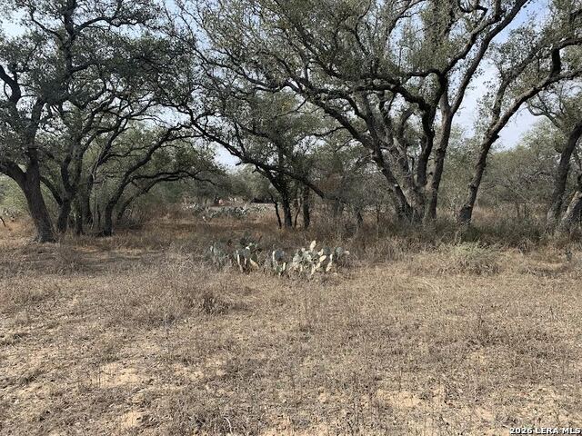 Image 5 of 8 For 00 Cr 6719  