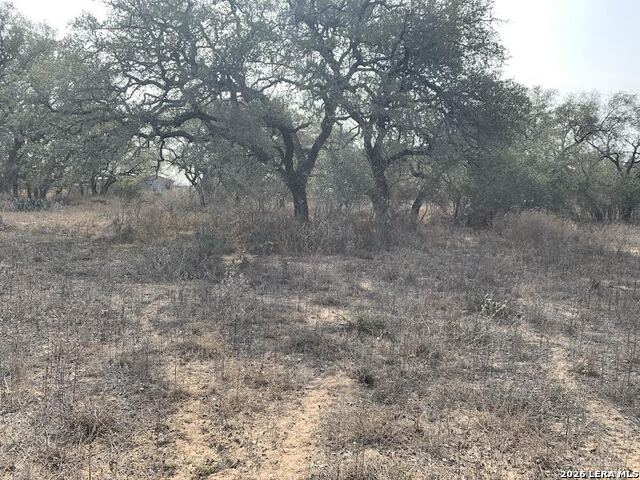 Image 6 of 8 For 00 Cr 6719  