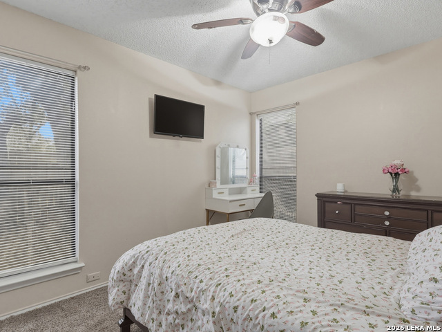 Image 21 of 29 For 5611 Timber Jack