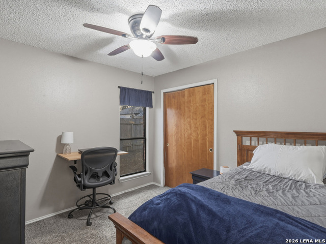 Image 24 of 29 For 5611 Timber Jack