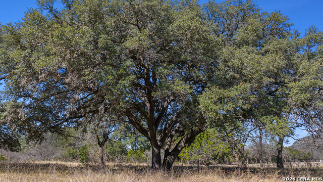 Image 13 of 62 For 254 N. Fork Bonner Rd