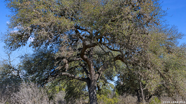 Image 44 of 62 For 254 N. Fork Bonner Rd