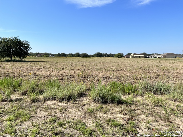 Image 4 of 10 For 148 Colt  