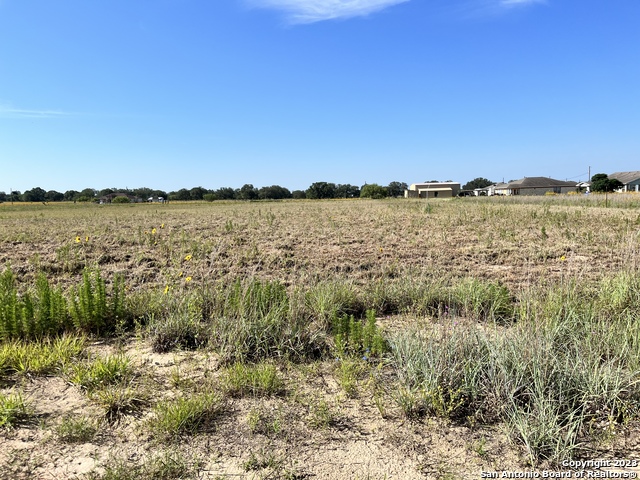 Image 5 of 10 For 148 Colt  