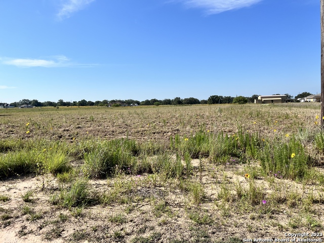 Image 6 of 10 For 148 Colt  