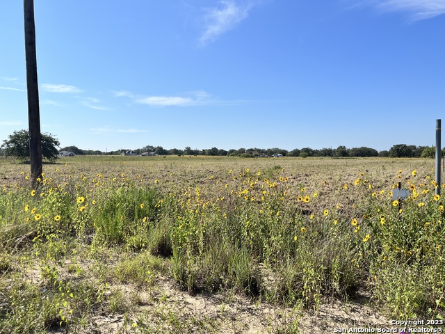 Image 7 of 10 For 148 Colt  