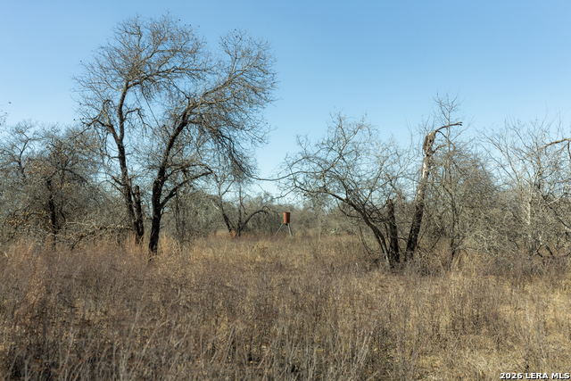 Listing photo id 32 for 461 County Road 6723