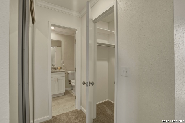 Image 31 of 39 For 7847 Grass Hollow