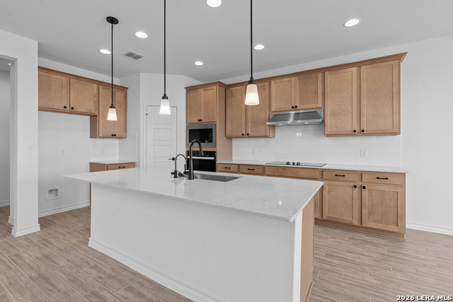 Image 14 of 34 For 4851 Conch Shell