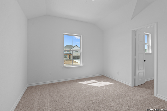 Image 2 of 34 For 4851 Conch Shell