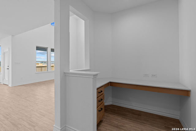 Image 22 of 34 For 4851 Conch Shell