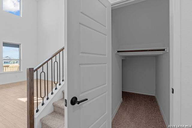 Image 23 of 34 For 4851 Conch Shell