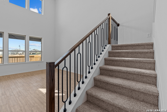 Image 24 of 34 For 4851 Conch Shell