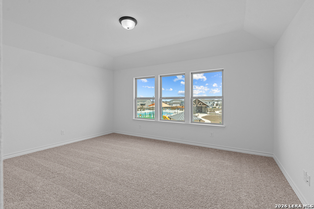 Image 27 of 34 For 4851 Conch Shell