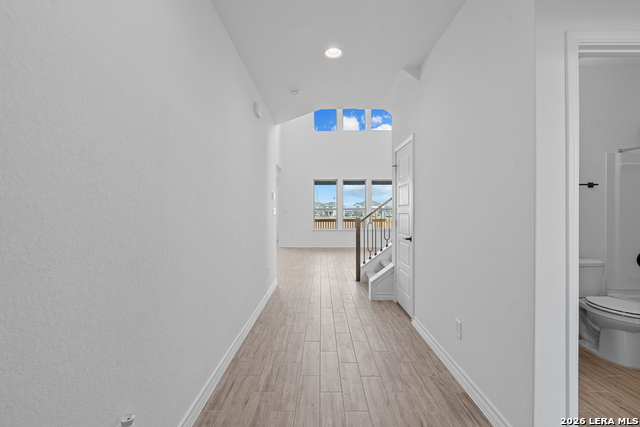 Image 6 of 34 For 4851 Conch Shell