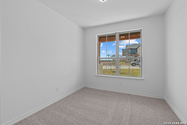 Image 8 of 34 For 4851 Conch Shell