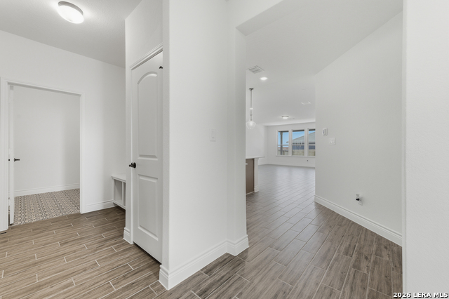 Image 2 of 21 For 4855 Conch Shell