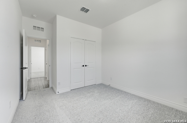 Image 7 of 21 For 4855 Conch Shell