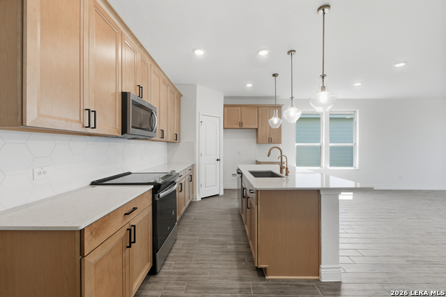 Image 8 of 21 For 4855 Conch Shell