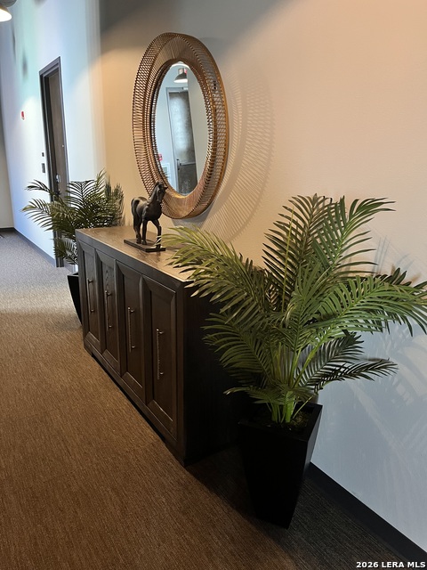 Image 2 of 24 For 214 Travis E Apt 301