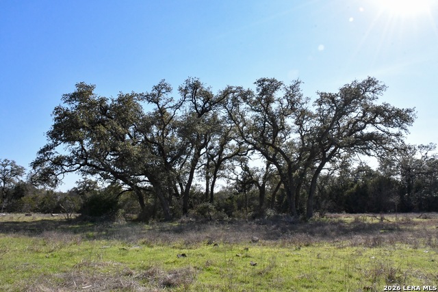 Image 12 of 14 For 8995 Fm 306  