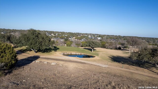 Details for 217 Lewis Todd, Blanco, TX 78606