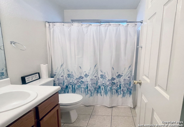 Image 10 of 12 For 10335 Tiger Hunt