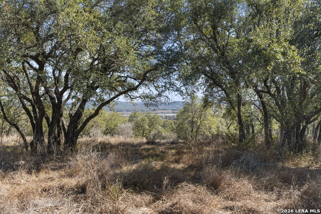 Image 12 of 19 For 31045 Johnson Way