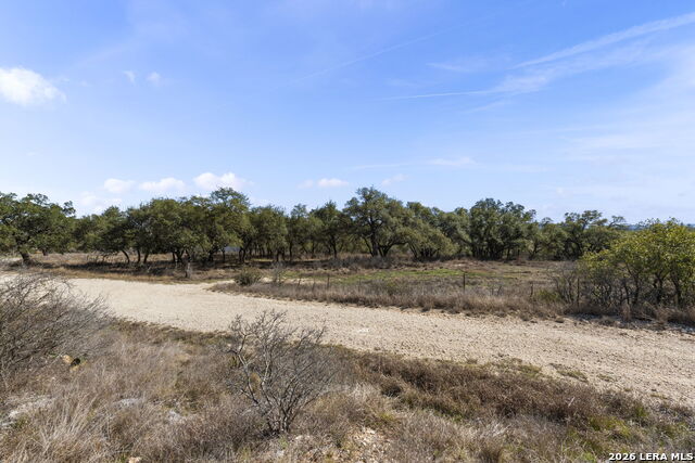 Image 8 of 19 For 31045 Johnson Way