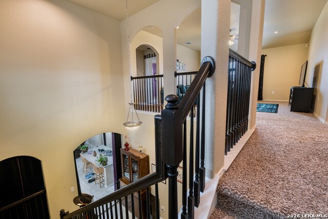 Image 17 of 44 For 11310 White Tip